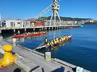 Wellington (45)