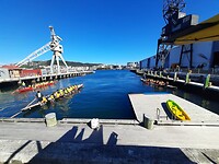Wellington (46)