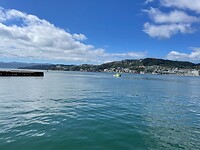 Wellington (81)