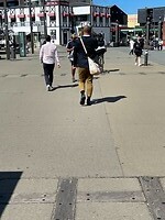 Wellington (90)