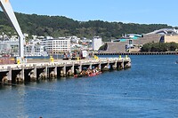 Wellington dag 3 (28)