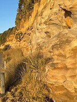 Wandeling New Plymouth langs de kust