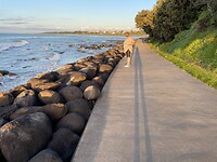Wandeling New Plymouth langs de kust Lange schaduw