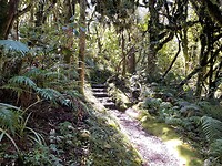 New Plymouth (27)