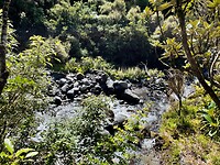 New Plymouth (28)