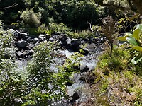 New Plymouth (29)
