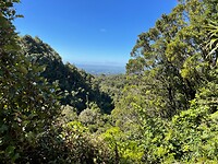 New Plymouth (30)