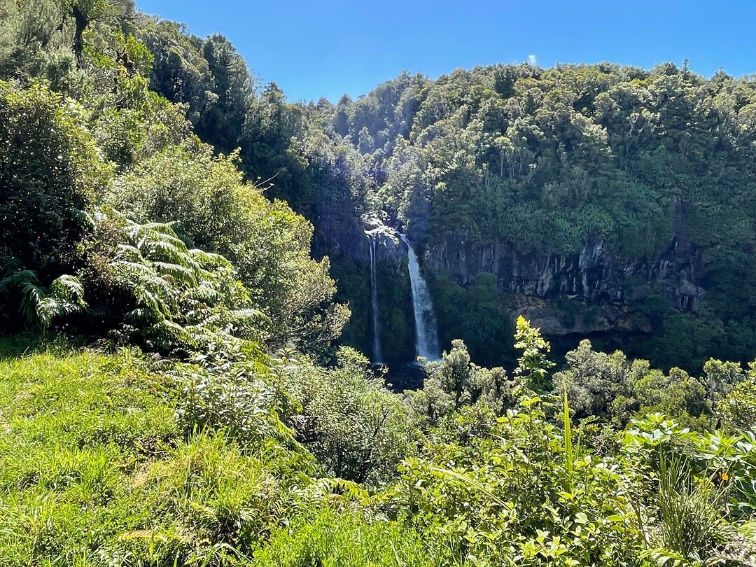 New Plymouth (32)