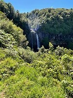 New Plymouth (33)