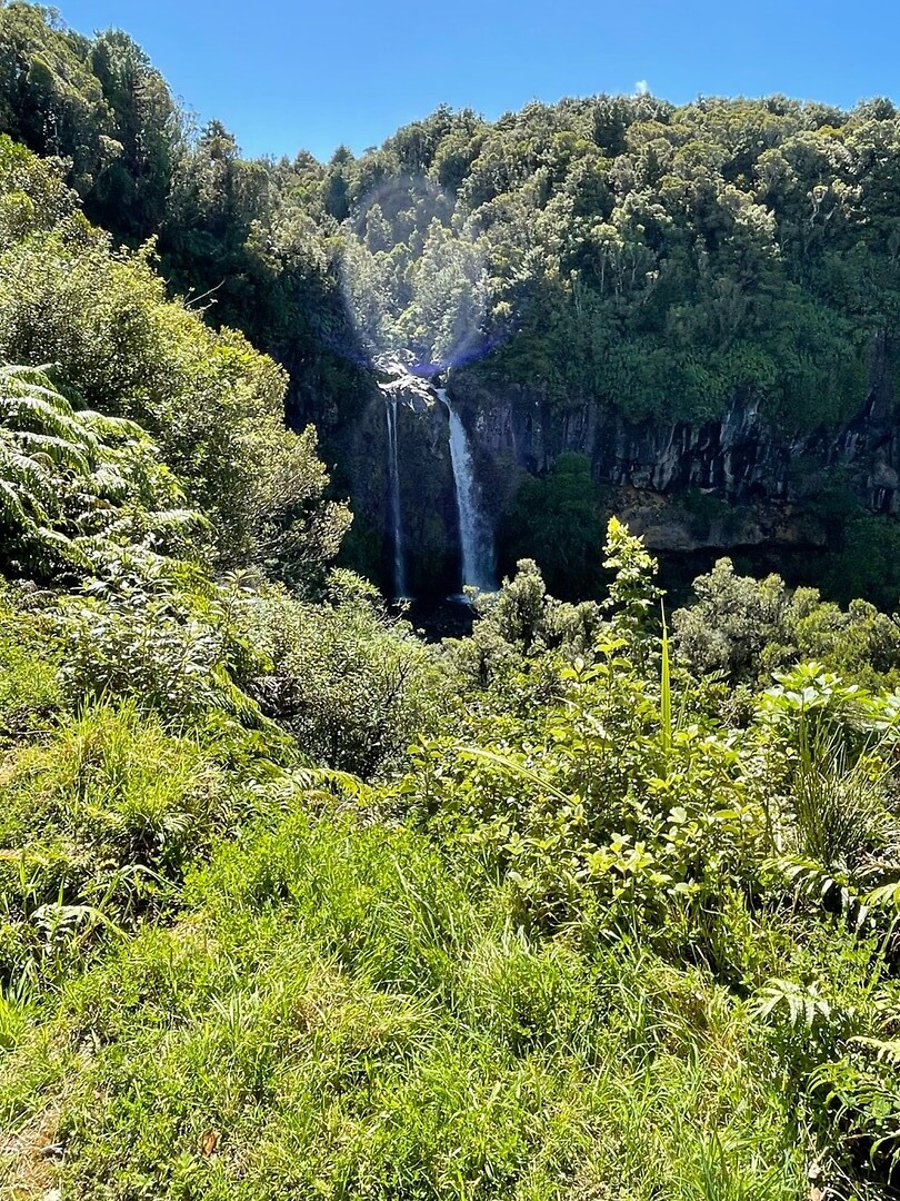 New Plymouth (33)