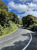New Plymouth (34)