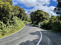 New Plymouth (35)
