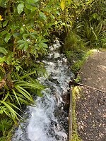 New Plymouth (38)