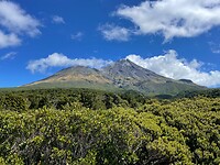 New Plymouth (41)