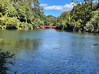 New Plymouth (46)