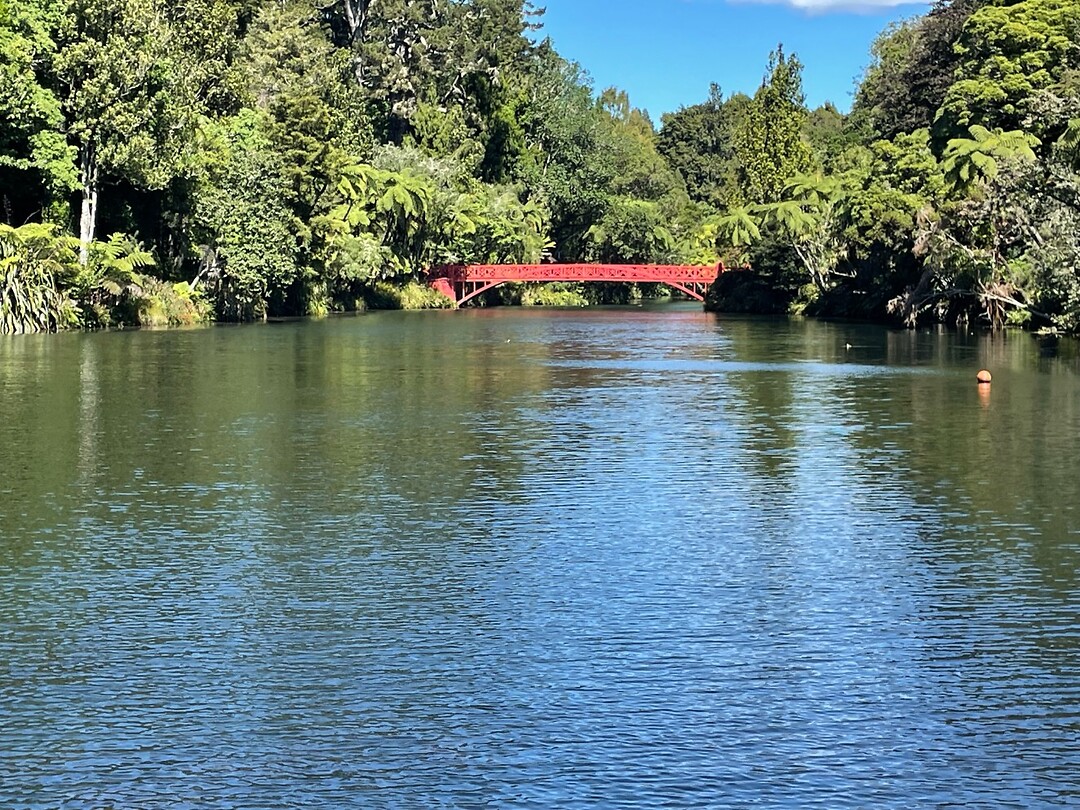 New Plymouth (49)