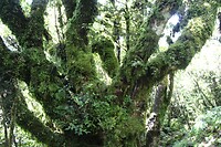 Nw Plymouth (16)