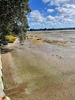 IMG_6063