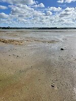 IMG_6064
