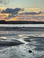 IMG_6071