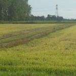 Ons uitzicht