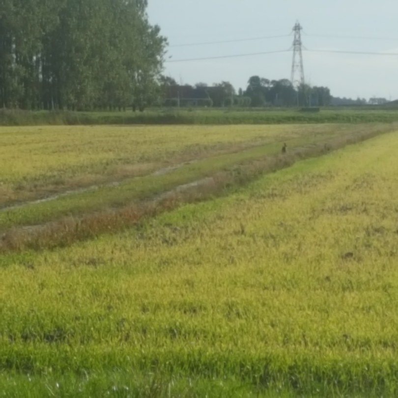 Ons uitzicht