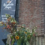 Food Festival