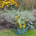 Heerlijk 🌻🌻🌻