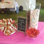 chocolade fontein met lekkers
