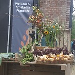 Food Festival
