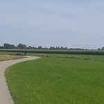 Zoooo mooi groen