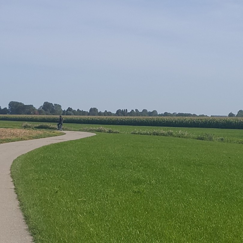 Zoooo mooi groen