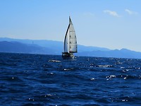 Onderweg naar Zonguldak - Kozlu visserijhaven