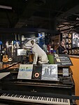 PXL_20230502_170933478