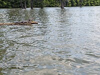 PXL_20230513_165339133
