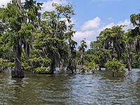 PXL_20230513_165035332