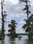 PXL_20230513_162901852