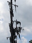 PXL_20230513_162850355.MP
