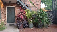 IMG-20230514-WA0011
