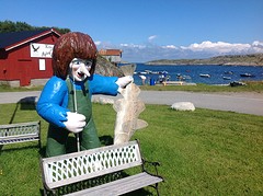 Eindpunt camping Algen