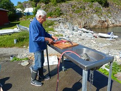 De vangst schoonmaken