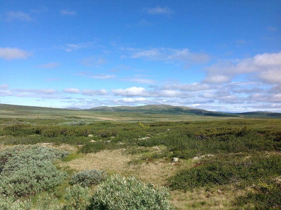 Hoogvlakte