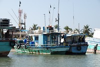 Boten