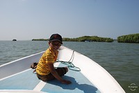 Onze minigids