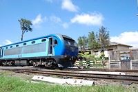 Trein