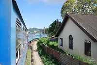 Trein