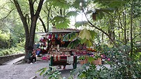 DSC02519