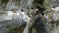 DSC03694