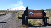 DSC05335