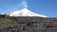 DSC05338
